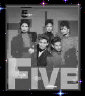 rockandrollisheretostay8flash006077.jpg